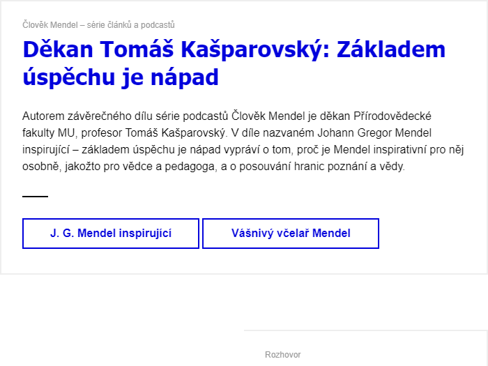 Newsletter pro zaměstnance